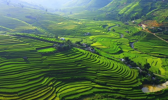 我行我素 素食旅遊|愛越山城之巔~雲霧沙壩、傳奇纜車、玻璃天空步道、絕美梯田、夜臥火車5日 CI (含導遊領隊服務費/上網卡)